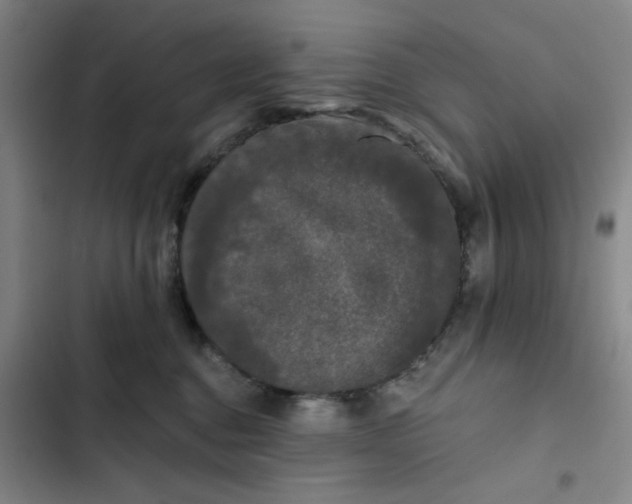 X0000102460376200808221625