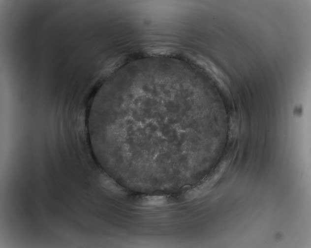 X0000102460377200808221625