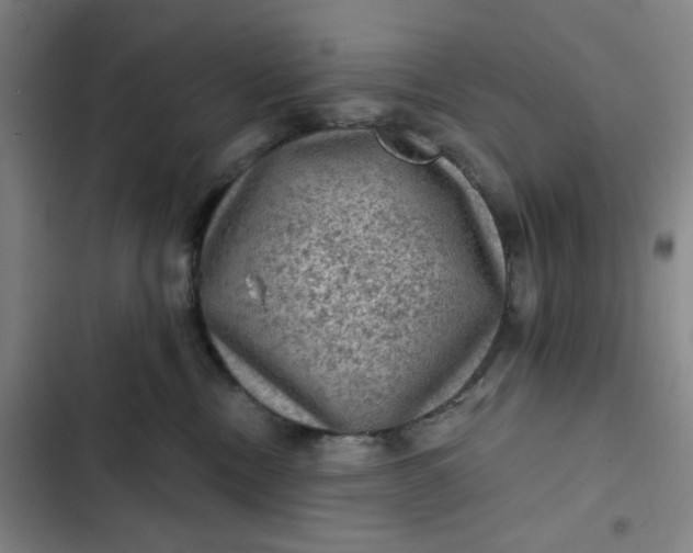 X0000102460378200808221625