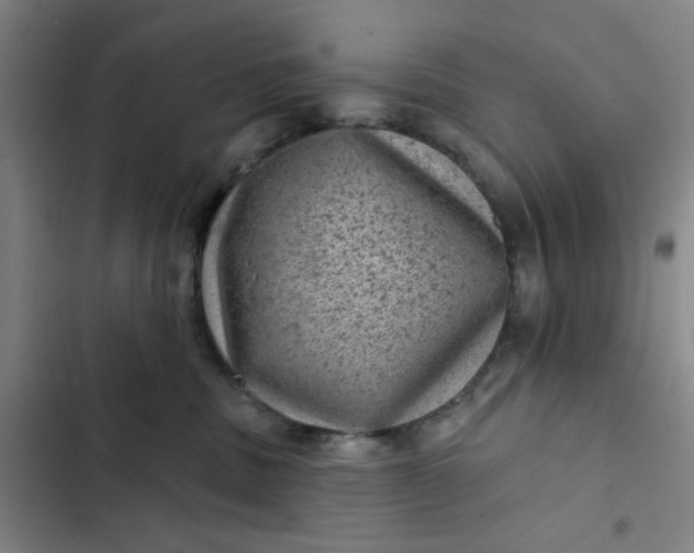 X0000102460379200808221625