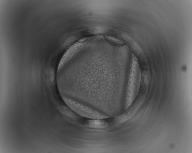 X0000102460380200808221625