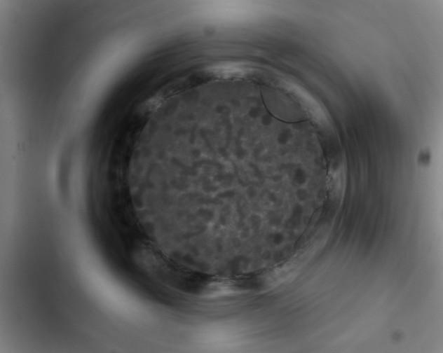 X0000102460381200808221625