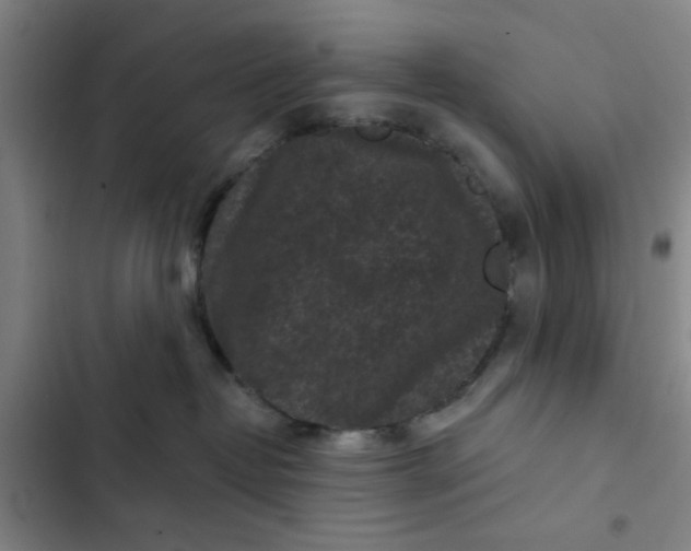 X0000102460382200808221625