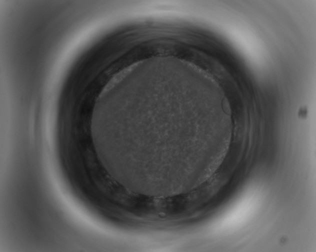 X0000102460383200808221625