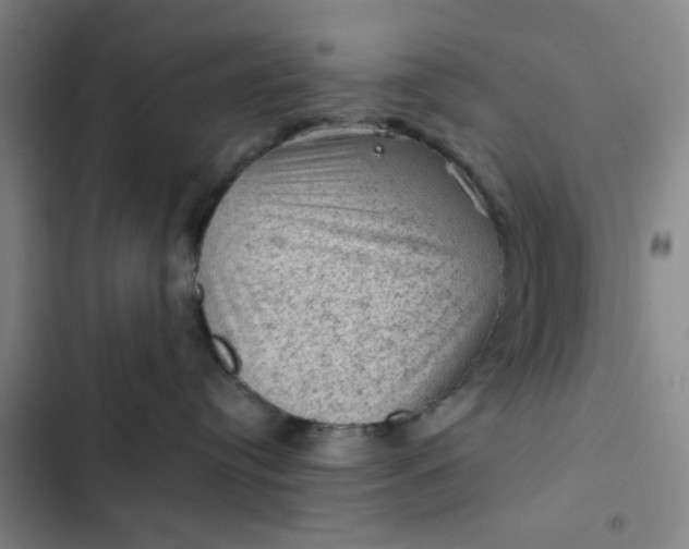 X0000102460384200808221625