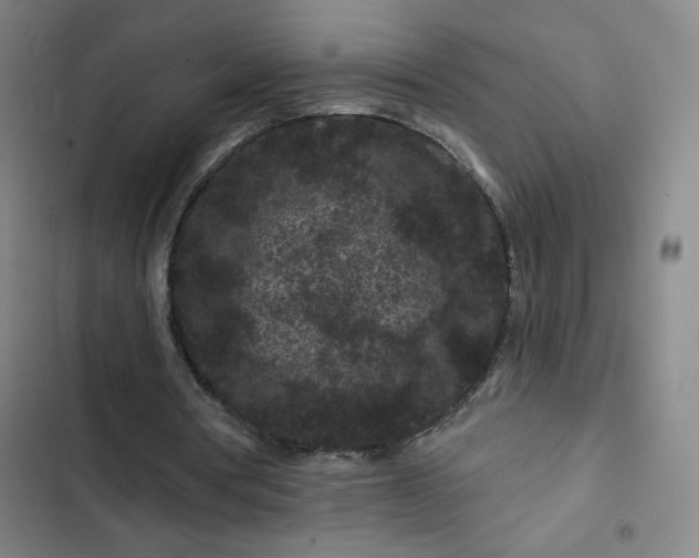 X0000102460386200808221624