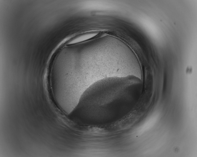 X0000102460387200808221624