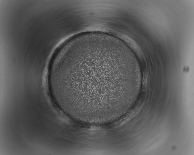 X0000102460388200808221624