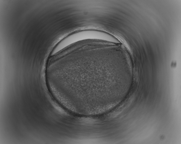 X0000102460389200808221624