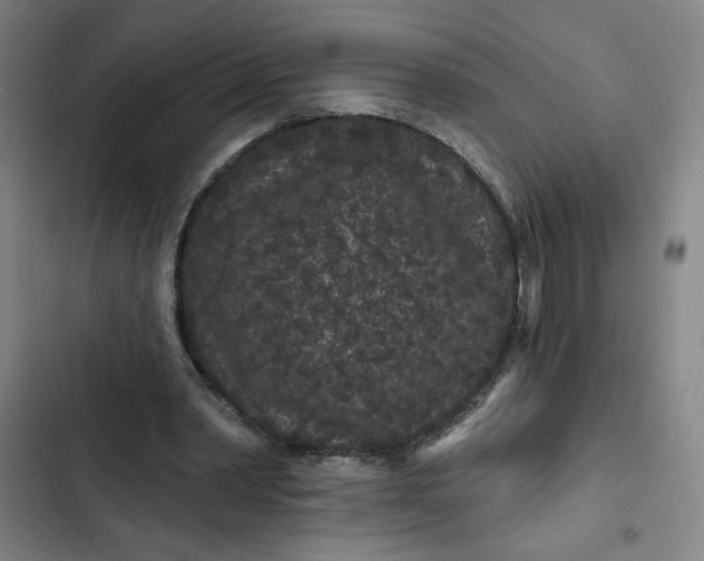 X0000102460390200808221624