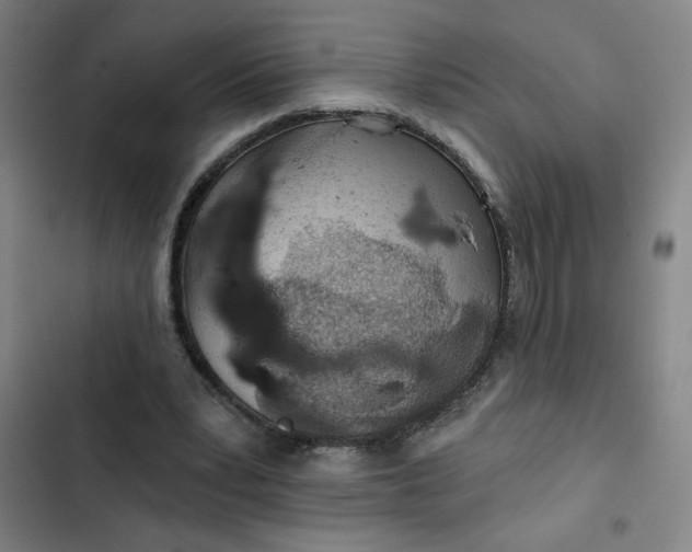 X0000102460391200808221624