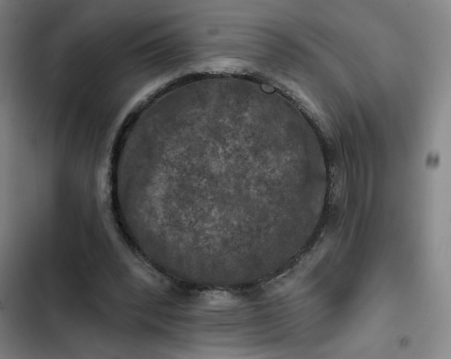 X0000102460392200808221624