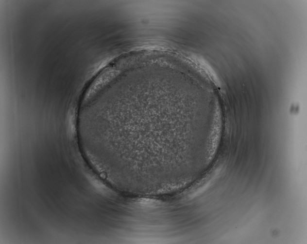 X0000102460393200808221624