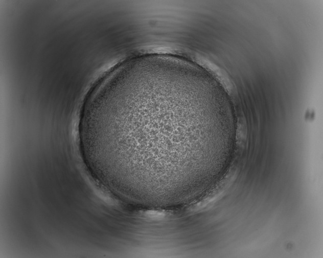 X0000102460394200808221624