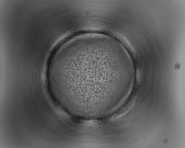 X0000102460396200808221624