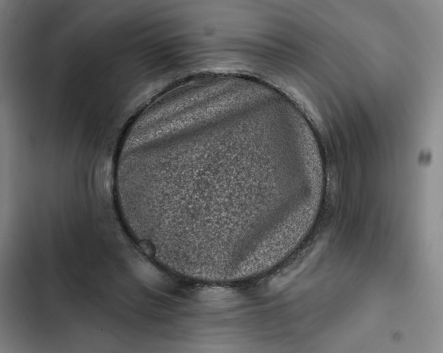 X0000102460397200808221624