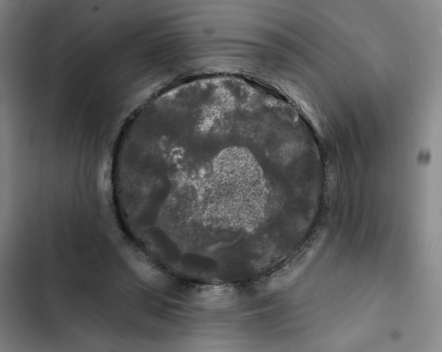 X0000102460398200808221624