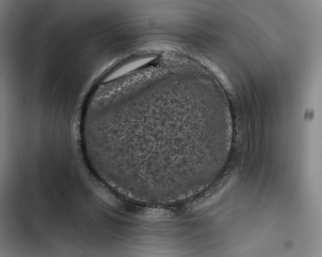 X0000102460399200808221624