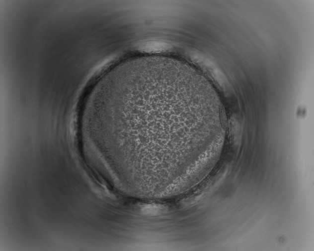 X0000102460400200808221624