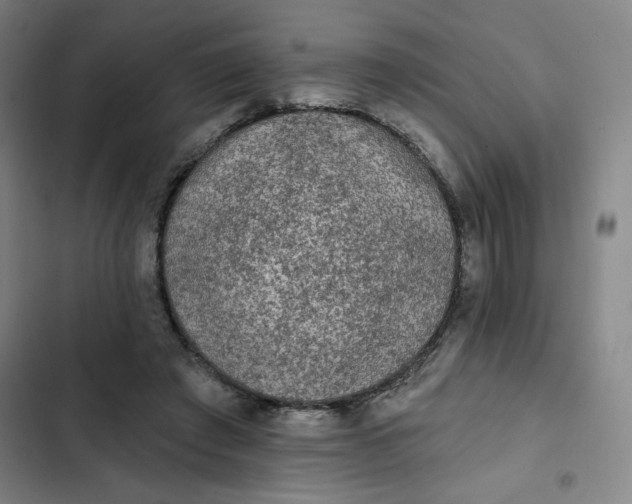 X0000102460401200808221624