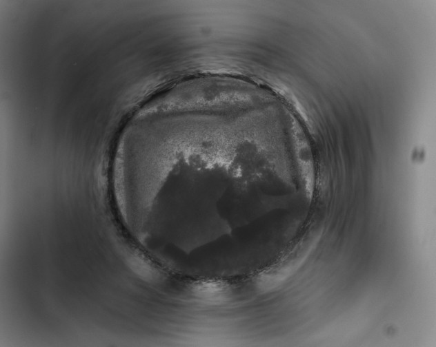 X0000102460402200808221624