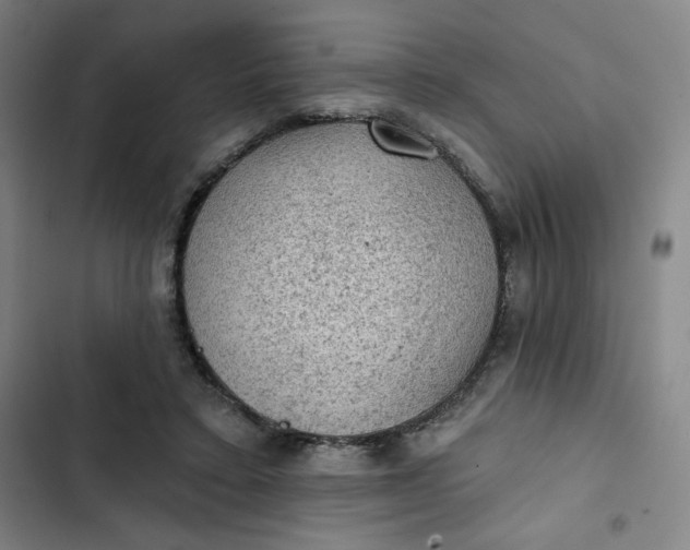 X0000102460403200808221624