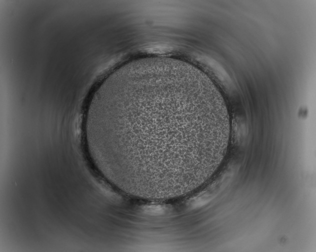 X0000102460404200808221624