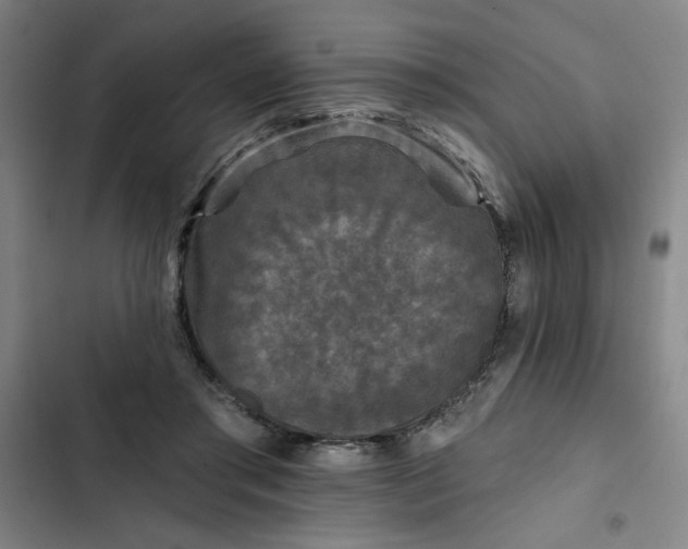 X0000102460405200808221624