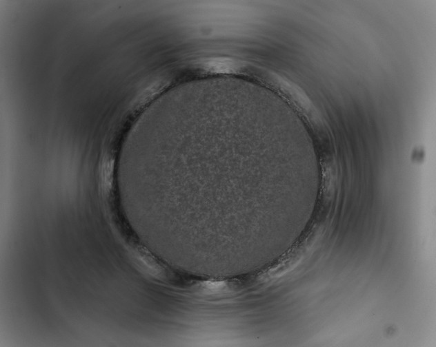 X0000102460406200808221624