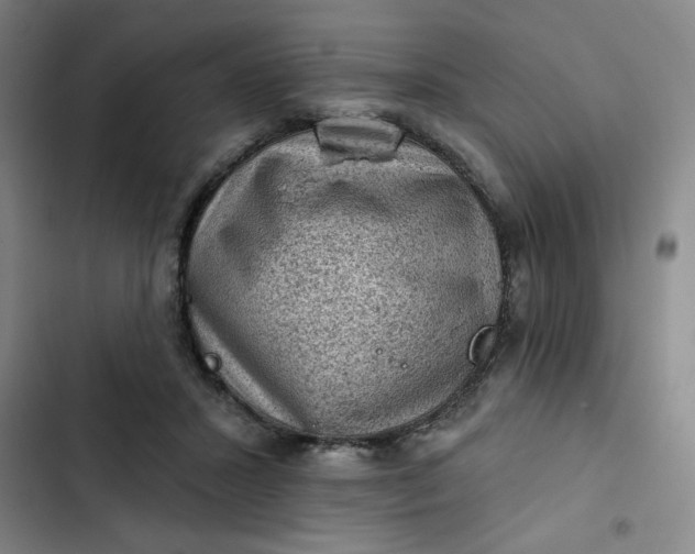 X0000102460407200808221624