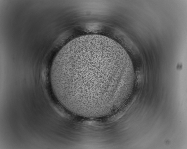 X0000102460408200808221624