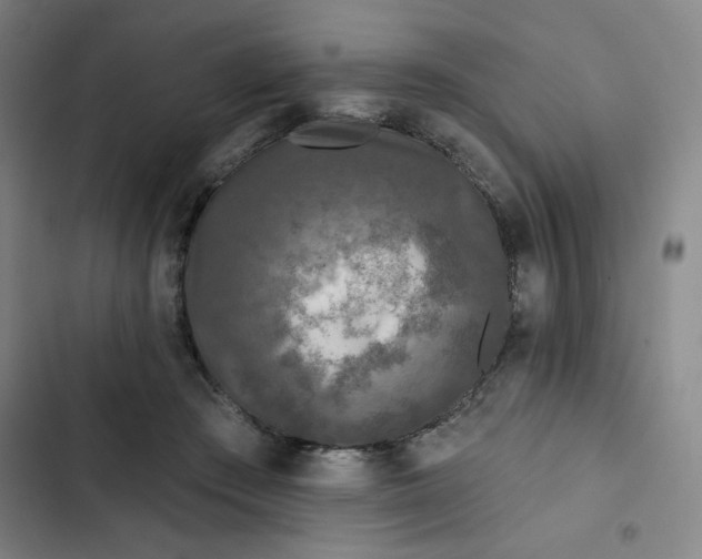 X0000102460409200808221624