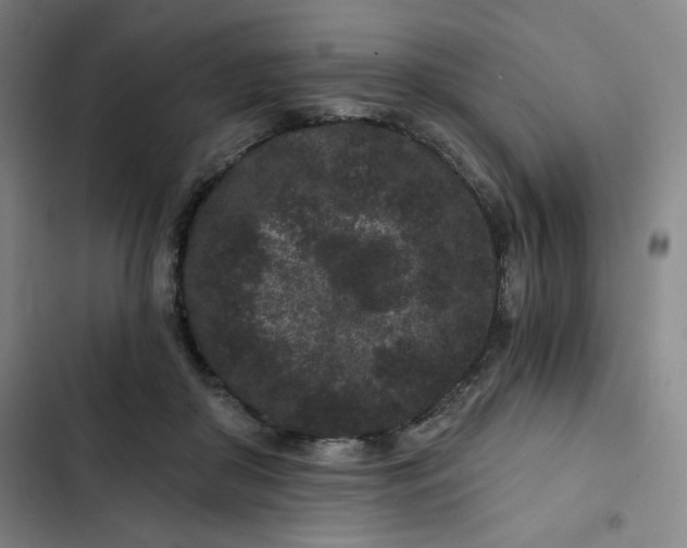 X0000102460410200808221624