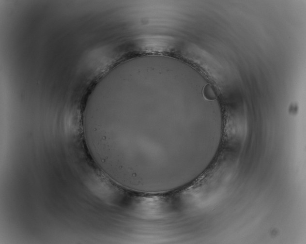 X0000102460411200808221624