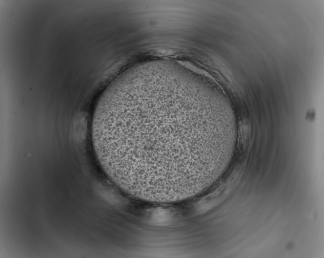 X0000102460412200808221624