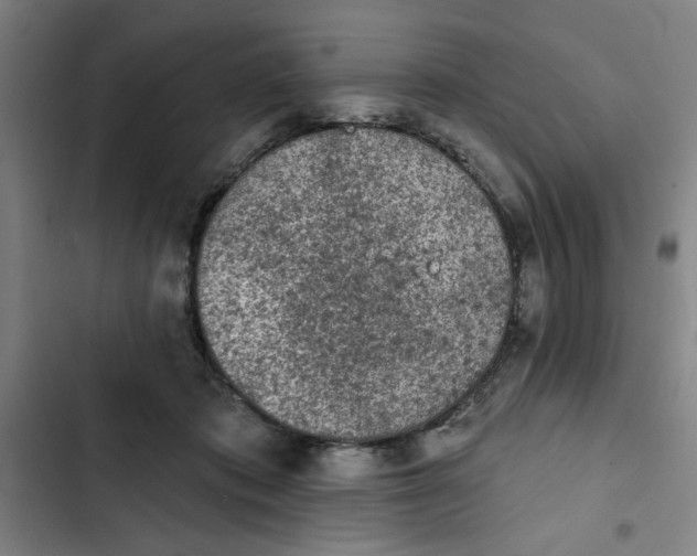 X0000102460413200808221624