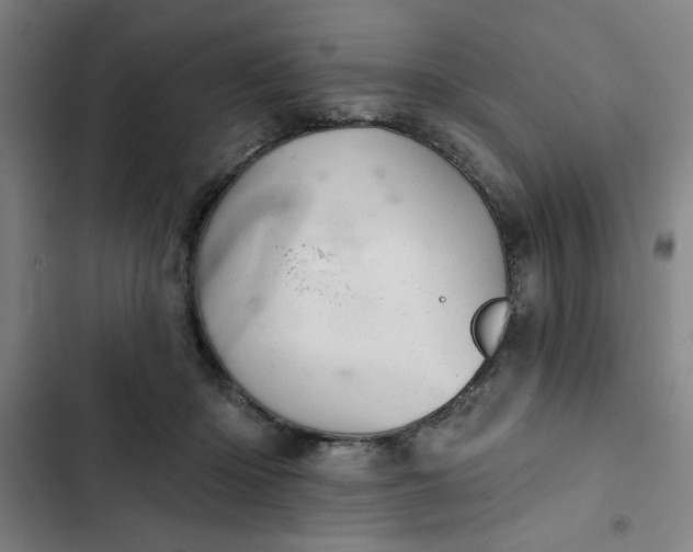 X0000102460414200808221624