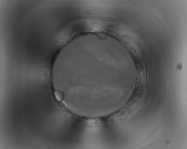 X0000102460415200808221624