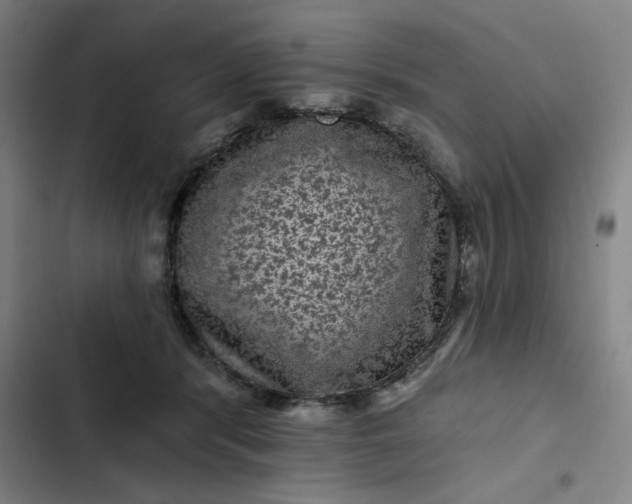 X0000102460416200808221624