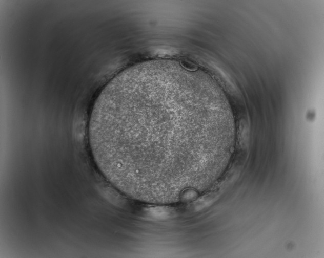 X0000102460417200808221624