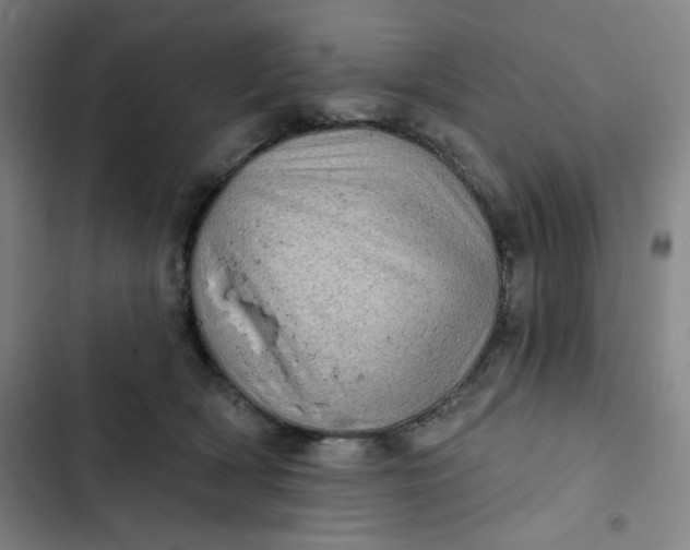 X0000102460418200808221624