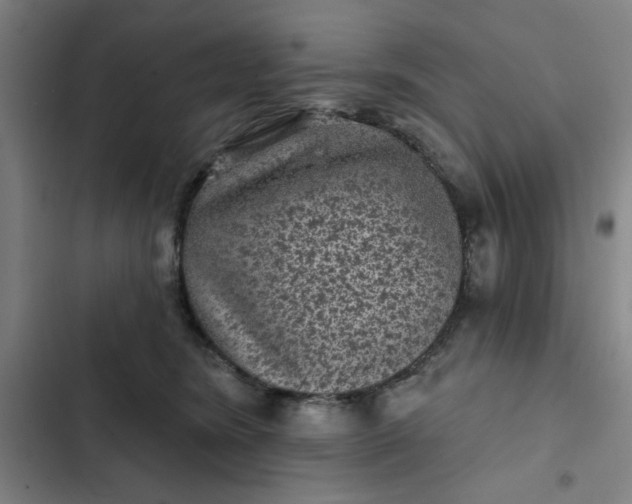 X0000102460420200808221624