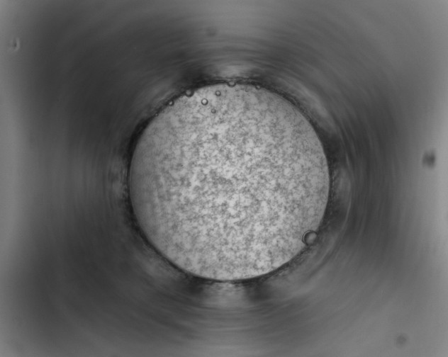 X0000102460421200808221624