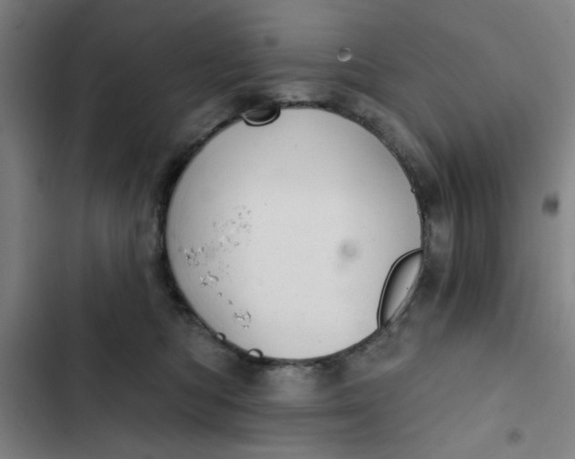 X0000102460422200808221624