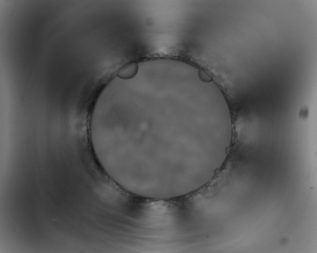 X0000102460423200808221624