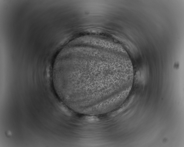 X0000102460424200808221623