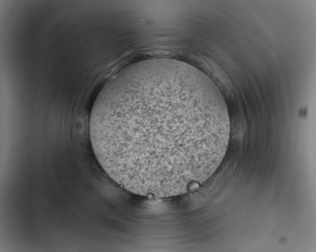 X0000102460425200808221623