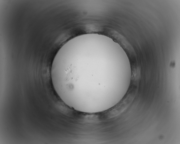 X0000102460426200808221623