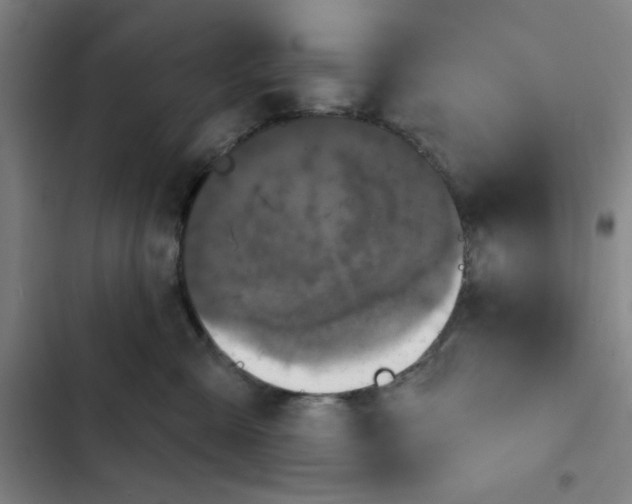 X0000102460427200808221623