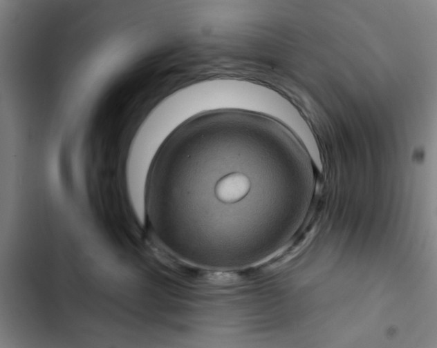 X0000102460429200808221623